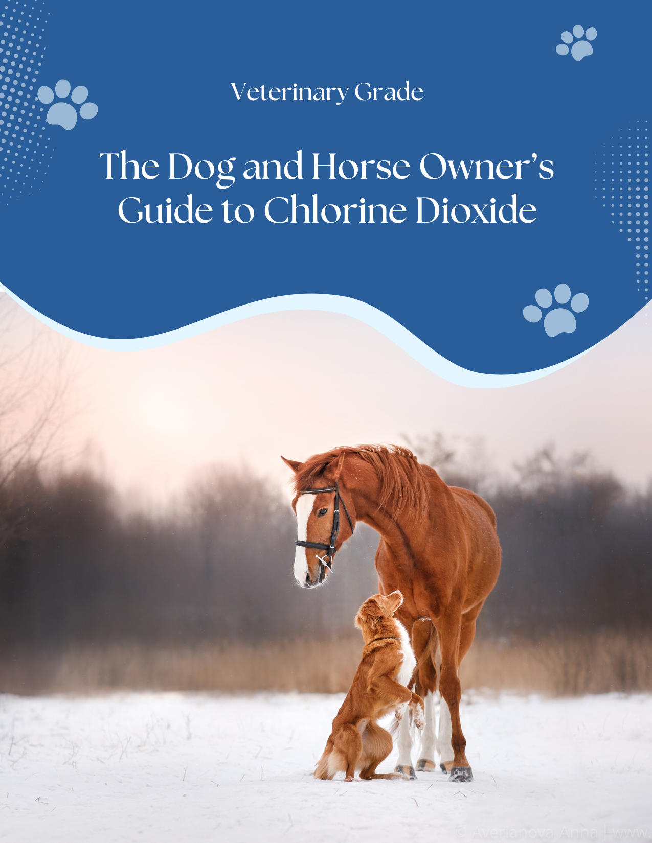 The Dog and Horse Owner's Guide to Chlorine Dioxide, cover