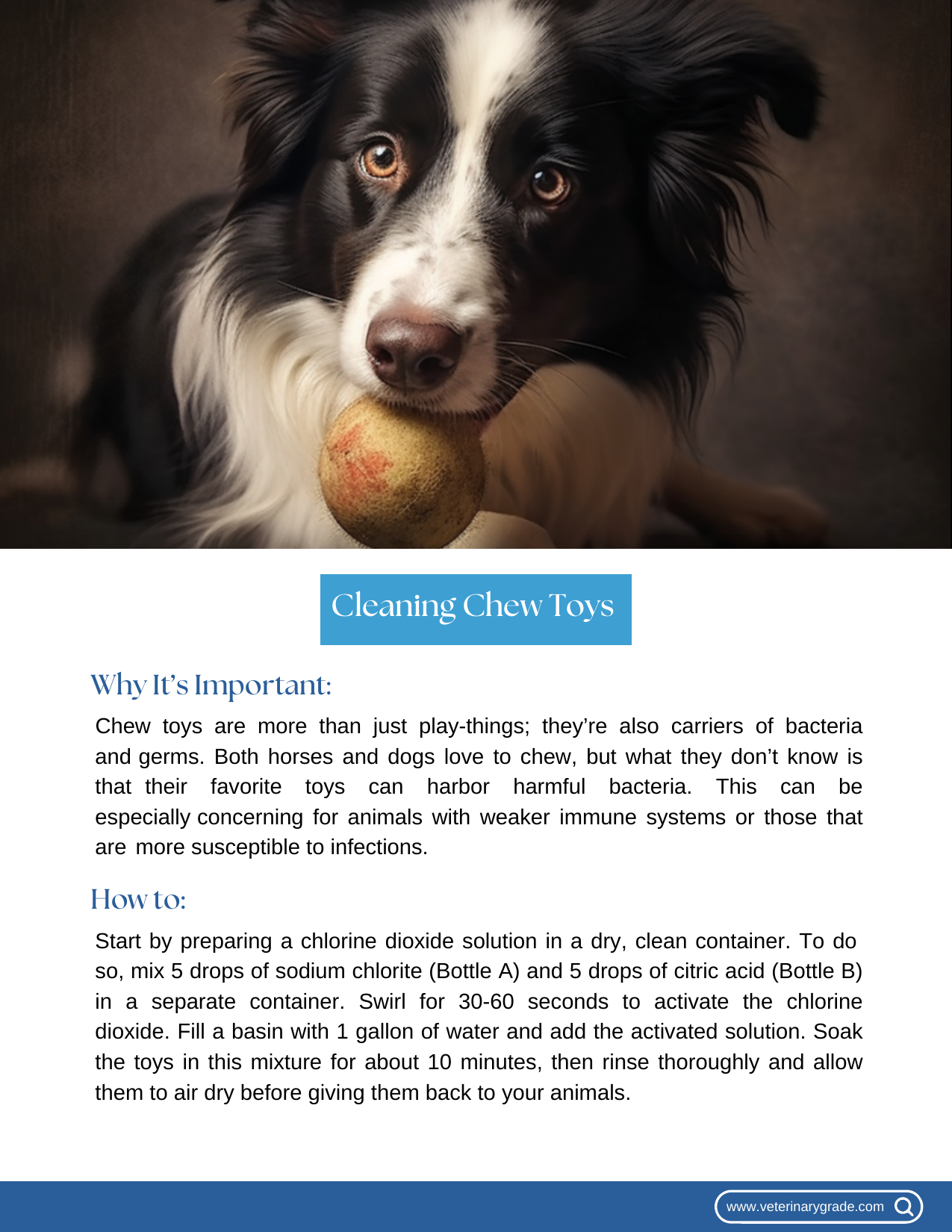 Guide page 5