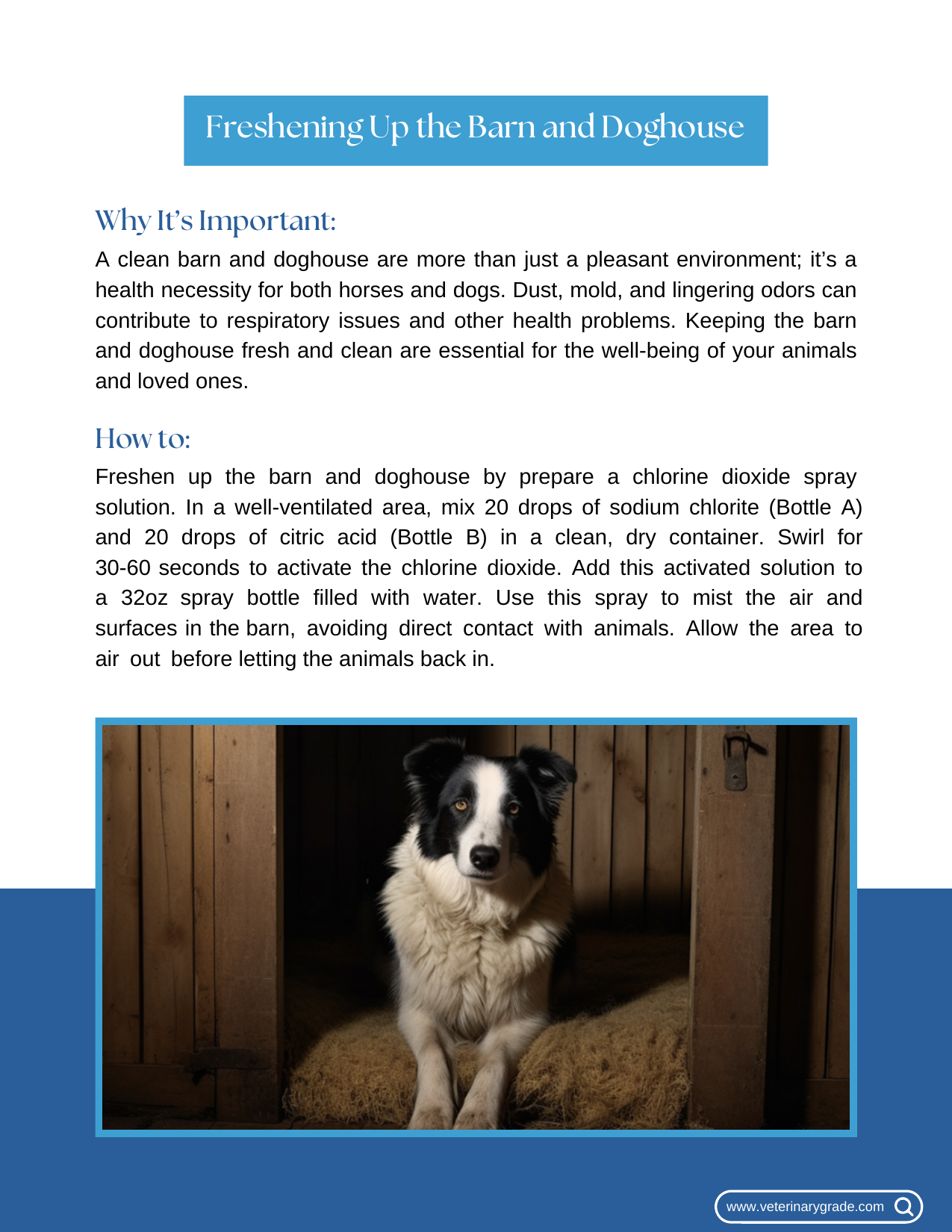 Guide page 6
