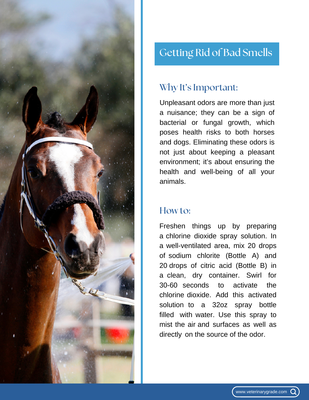 Guide page 7