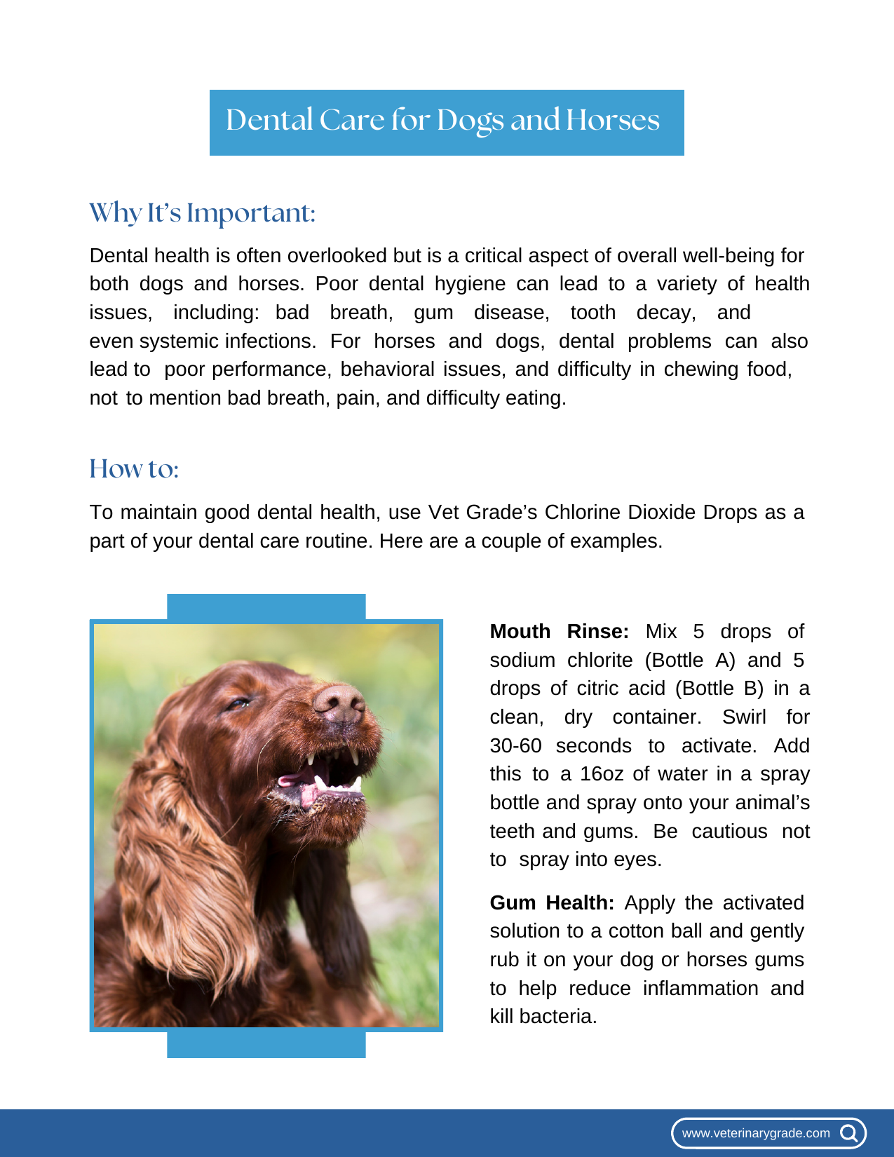 Guide page 8