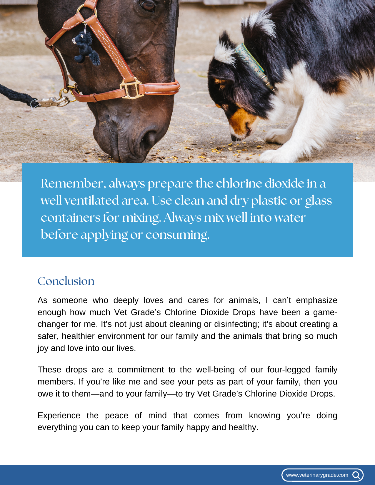 Guide page 11