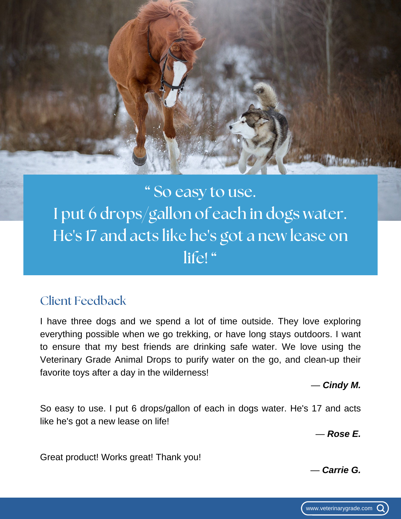 Guide page 12